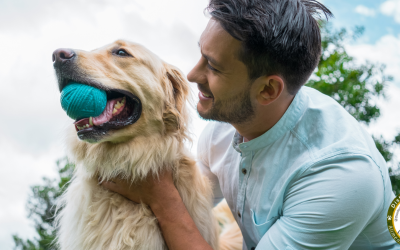 La importancia del juego