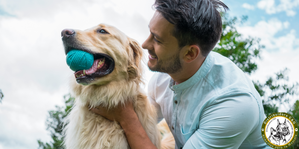 La importancia del juego